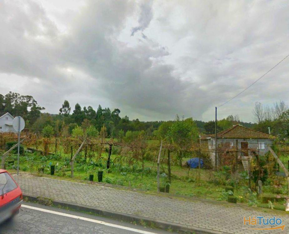 TERRENO TERRENO
