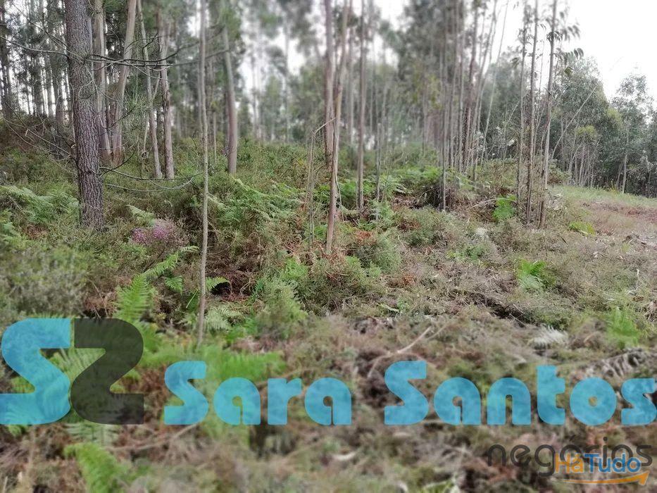 Vendo terreno Urbano com 5800m2 em Fânzeres, Gondomar. Vendo terreno Urbano com 5800m2 em Fânzeres, Gondomar.