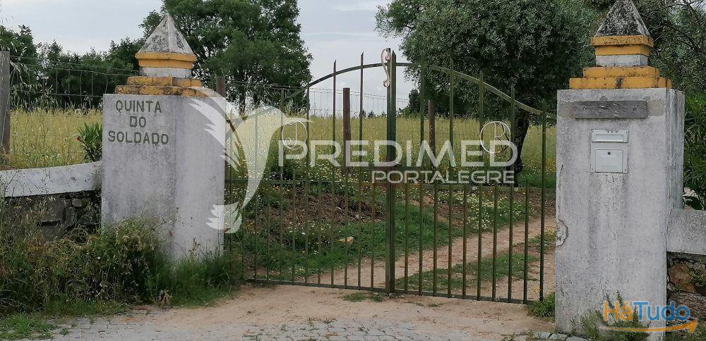 Quinta na Serra de S. Mamede - Portalegre Quinta na Serra de S. Mamede - Portalegre