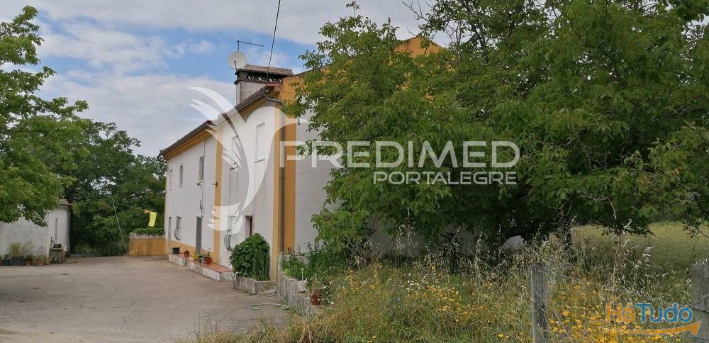 Quinta na Serra de S. Mamede - Portalegre Quinta na Serra de S. Mamede - Portalegre