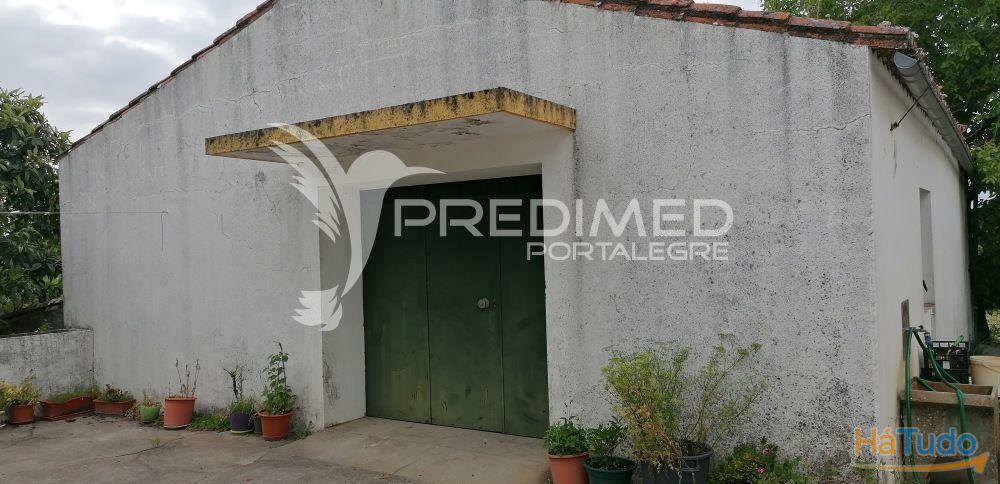 Quinta na Serra de S. Mamede - Portalegre Quinta na Serra de S. Mamede - Portalegre