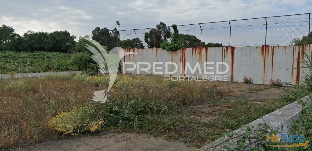 Quinta na Serra de S. Mamede - Portalegre Quinta na Serra de S. Mamede - Portalegre