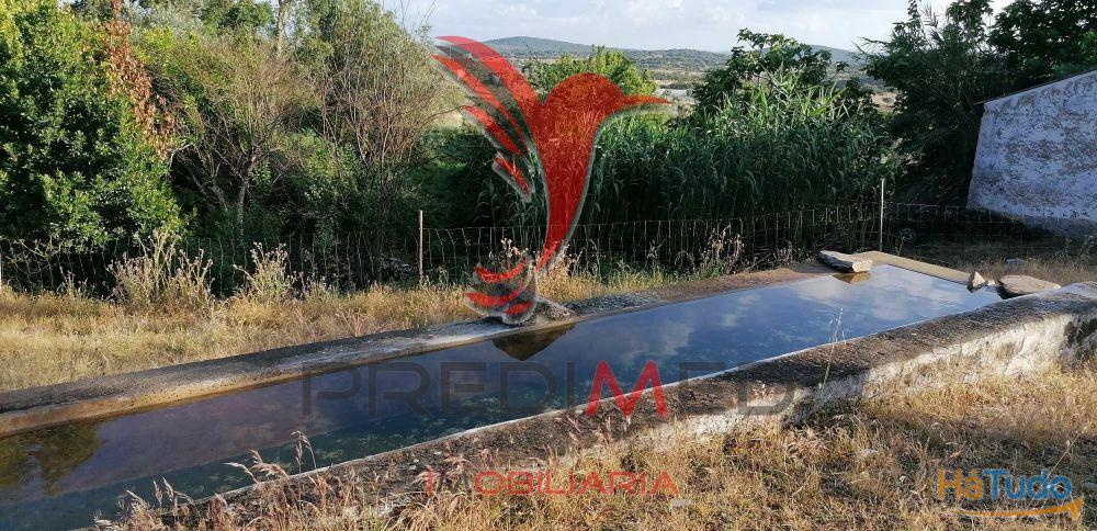 Quinta Agrícola na Zona de Portalegre Quinta Agrícola na Zona de Portalegre