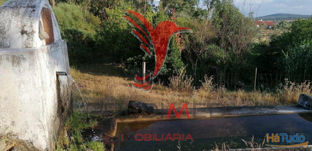 Quinta Agrícola na Zona de Portalegre Quinta Agrícola na Zona de Portalegre