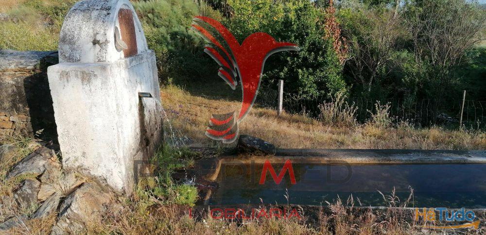 Quinta Agrícola na Zona de Portalegre Quinta Agrícola na Zona de Portalegre