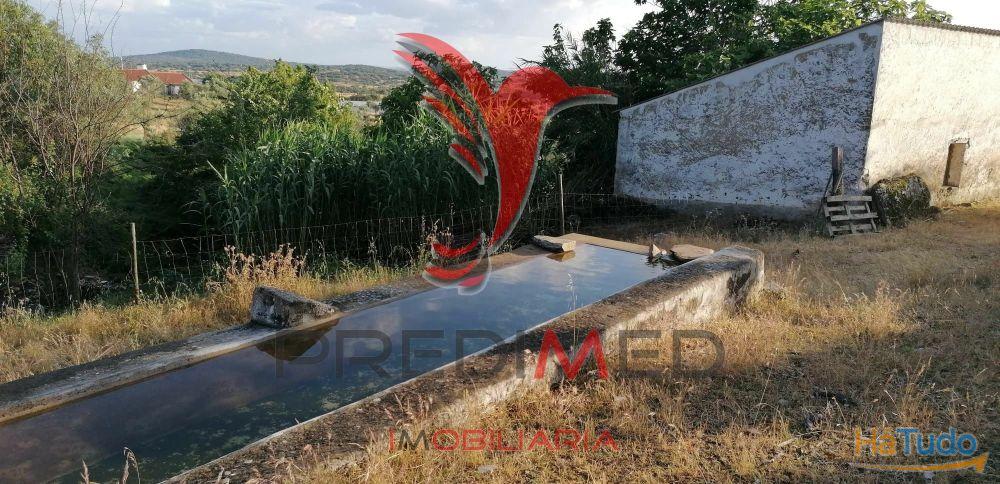 Quinta Agrícola na Zona de Portalegre Quinta Agrícola na Zona de Portalegre