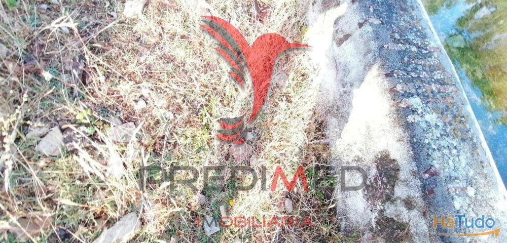 Quinta Agrícola na Zona de Portalegre Quinta Agrícola na Zona de Portalegre