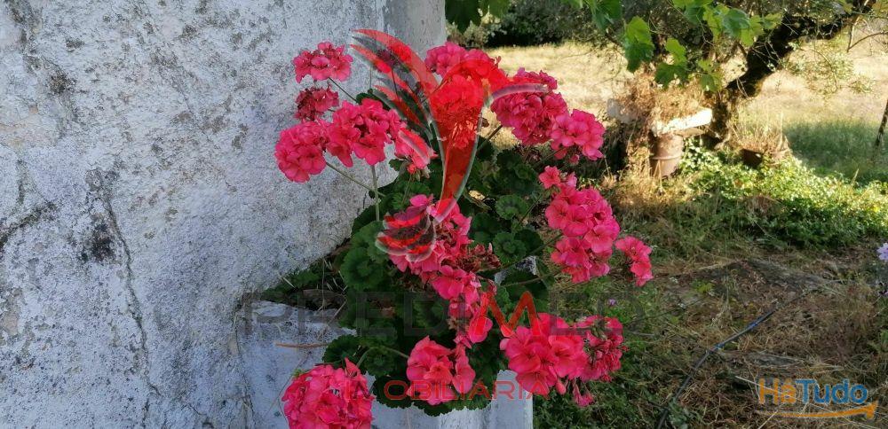 Quinta Agrícola na Zona de Portalegre Quinta Agrícola na Zona de Portalegre