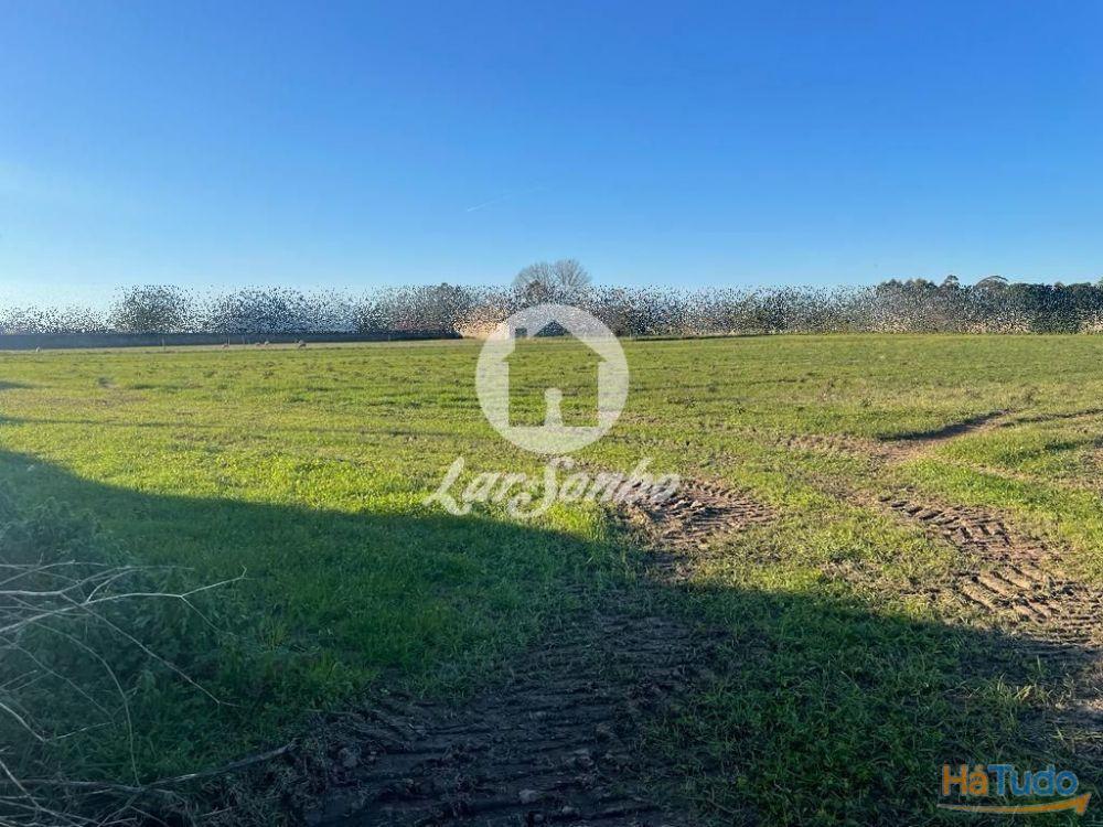 Terreno construção de moradias com 9.900m2 em Junqueira - Vila do Conde Terreno construção de moradias com 9.900m2 em Junqueira - Vila do Conde