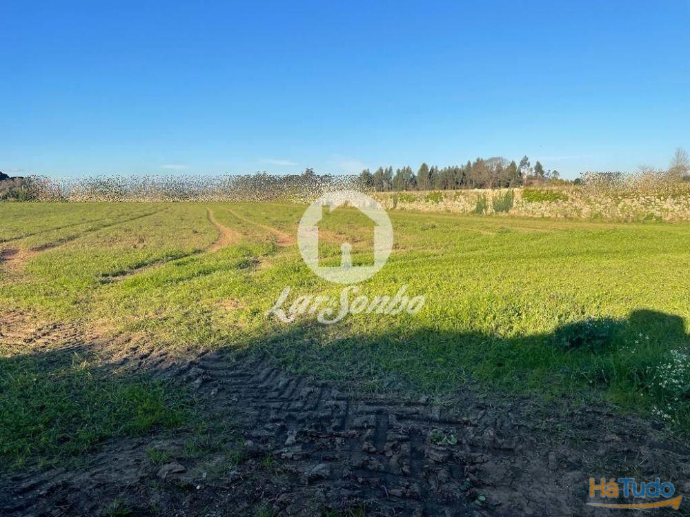 Terreno construção de moradias com 9.900m2 em Junqueira - Vila do Conde Terreno construção de moradias com 9.900m2 em Junqueira - Vila do Conde