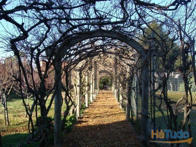 Palacete T10 Palacete T10