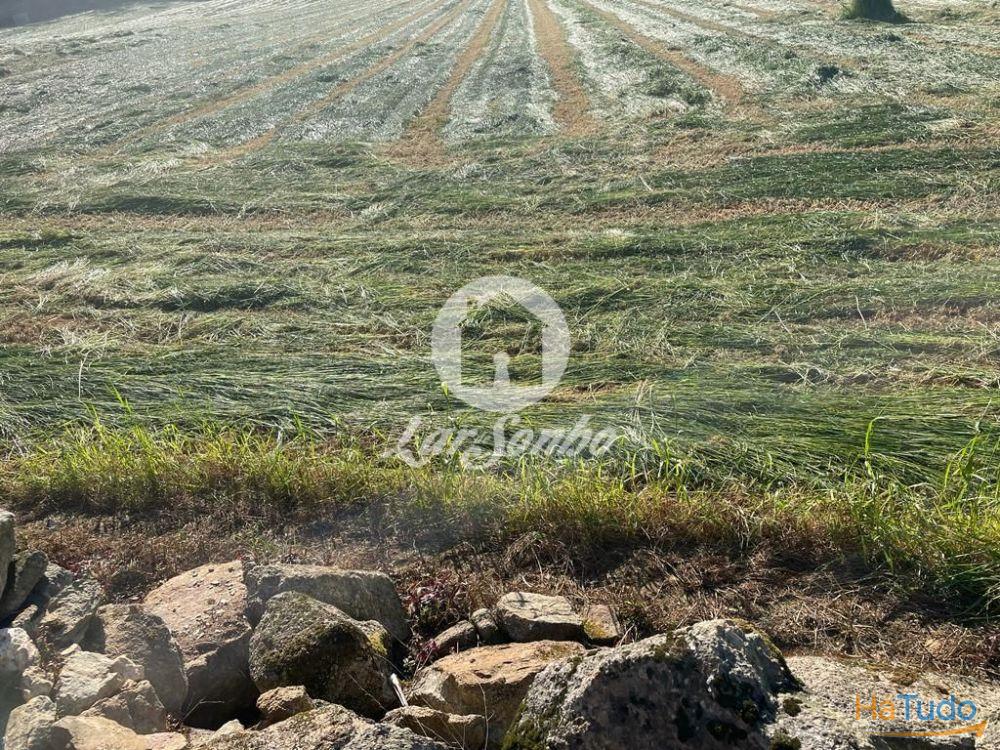 Terreno para construção de moradias com 2600 m2 de área total em Arcos. Terreno para construção de moradias com 2600 m2 de área total em Arcos.