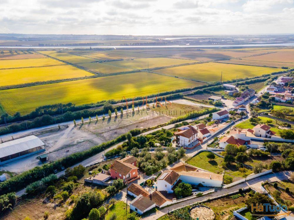 Terreno à Venda na Figueira da Foz Terreno à Venda na Figueira da Foz