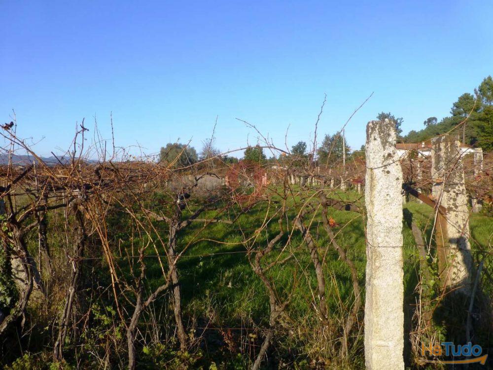 Terreno Terreno