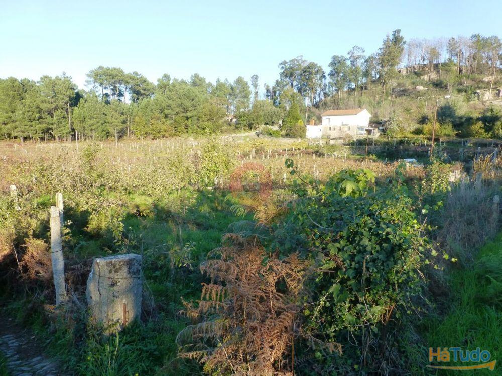 Terreno Terreno