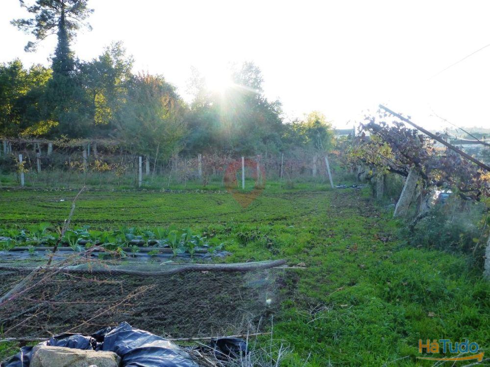 Terreno Terreno
