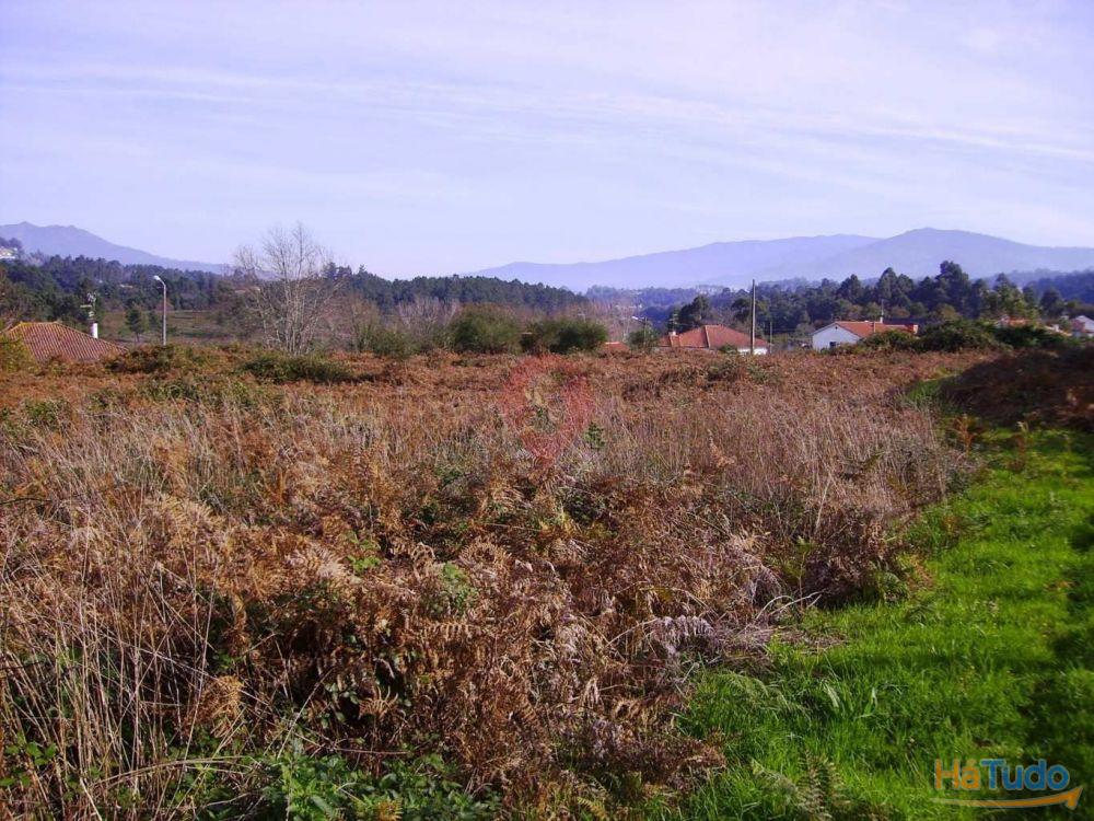 Terreno Terreno