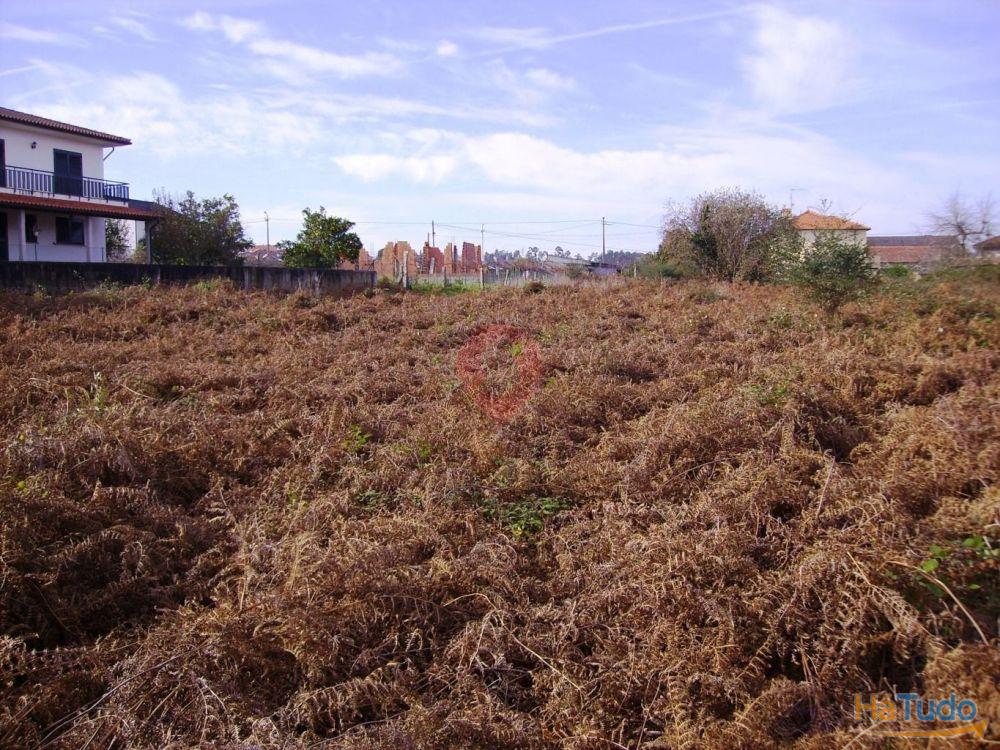 Terreno Terreno