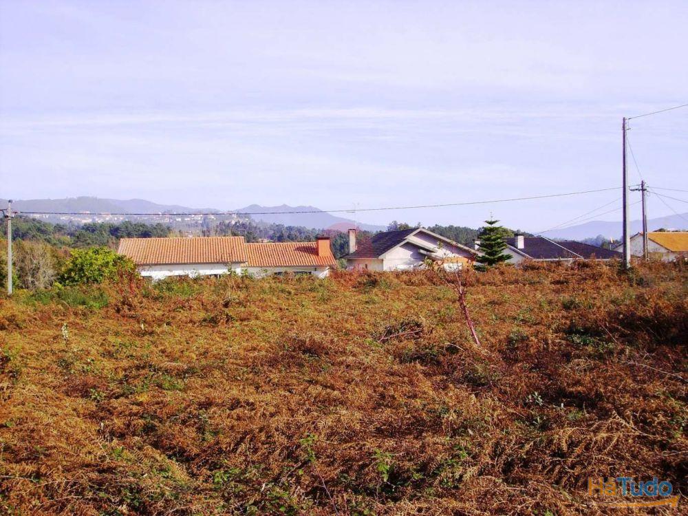 Terreno Terreno