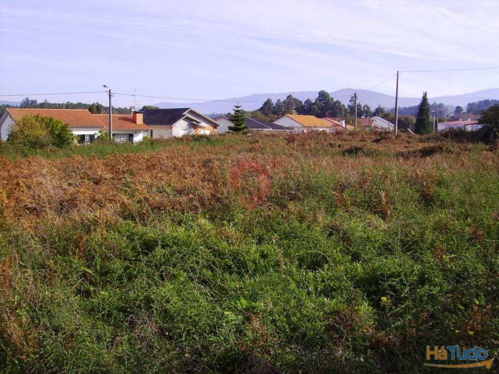 Terreno Terreno
