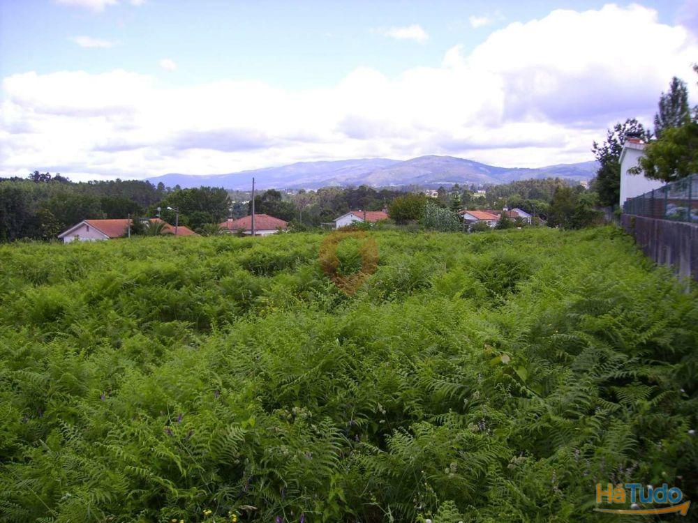 Terreno Terreno