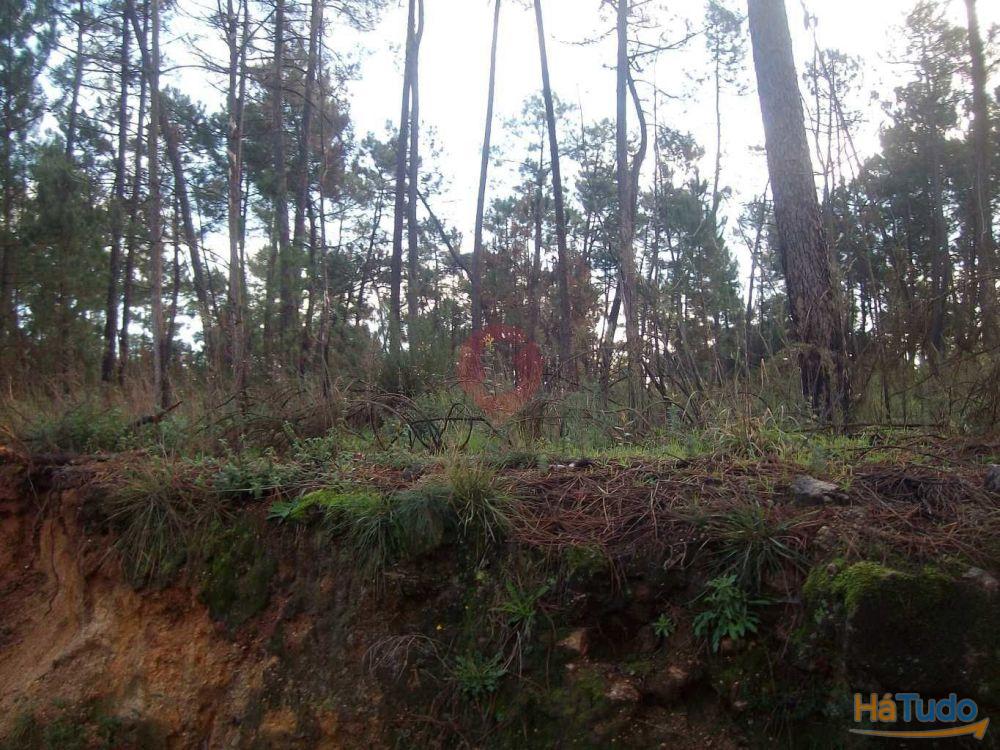 Terreno Terreno