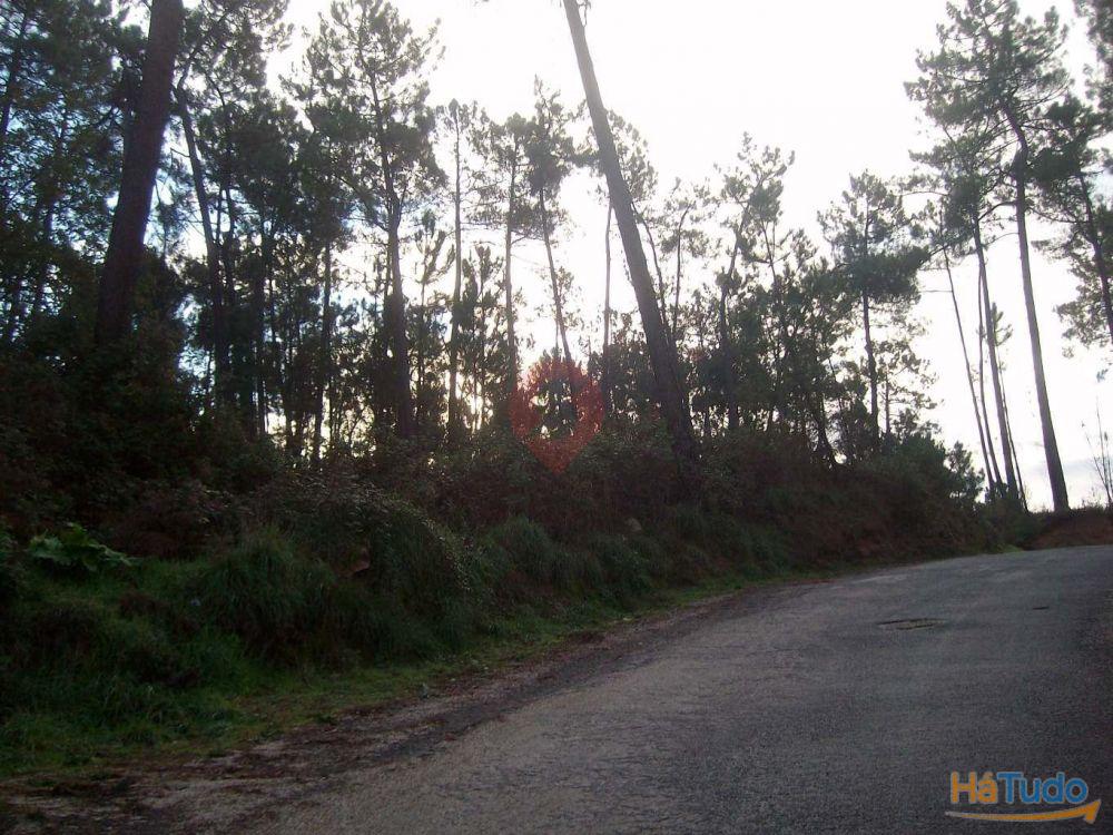 Terreno Terreno