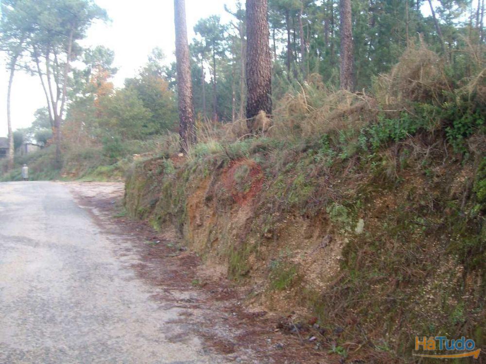 Terreno Terreno