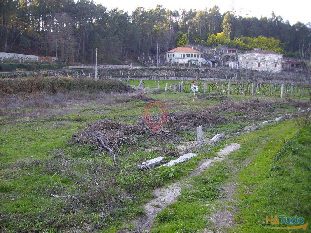 Terreno Terreno