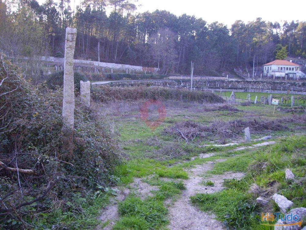 Terreno Terreno