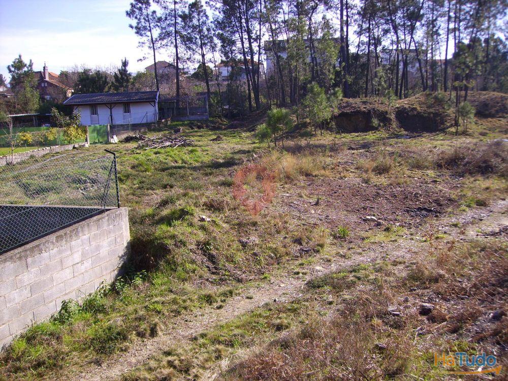 Terreno Terreno