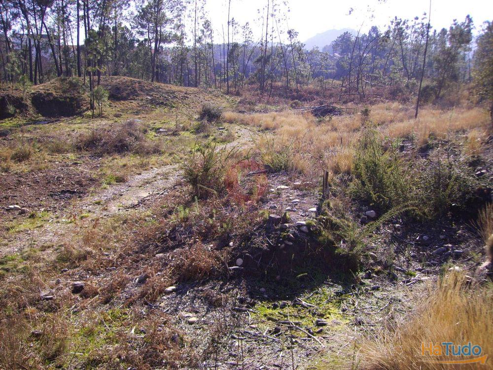 Terreno Terreno