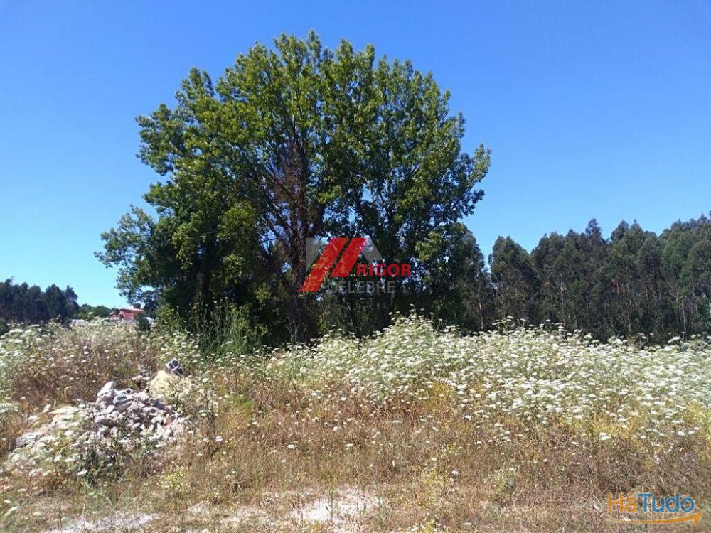 Terreno à venda no concelho de Vila do Conde, Porto Terreno à venda no concelho de Vila do Conde, Porto