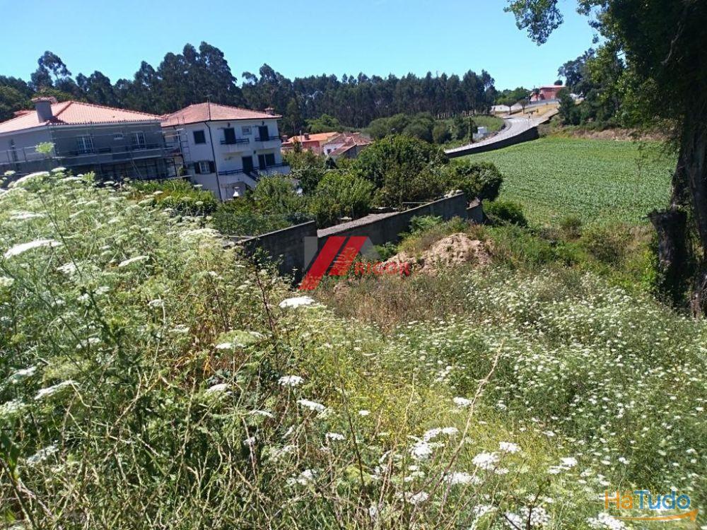 Terreno à venda no concelho de Vila do Conde, Porto Terreno à venda no concelho de Vila do Conde, Porto