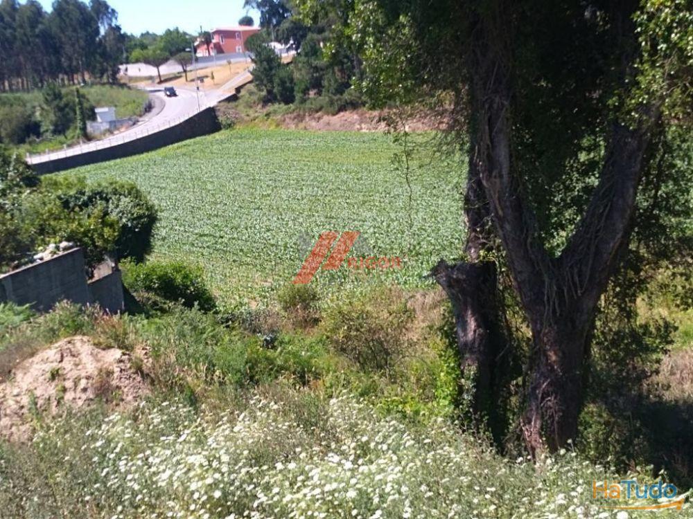 Terreno à venda no concelho de Vila do Conde, Porto Terreno à venda no concelho de Vila do Conde, Porto