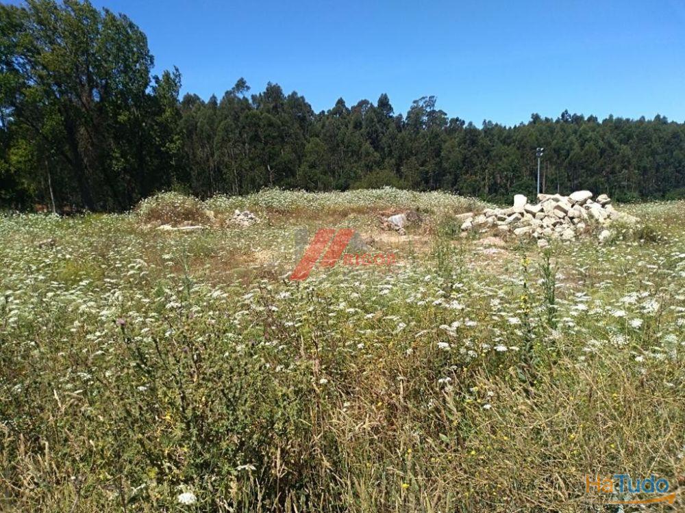Terreno à venda no concelho de Vila do Conde, Porto Terreno à venda no concelho de Vila do Conde, Porto