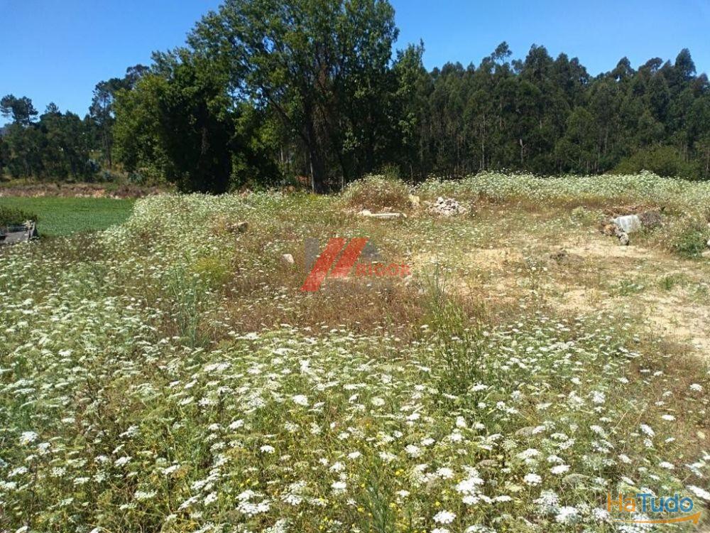 Terreno à venda no concelho de Vila do Conde, Porto Terreno à venda no concelho de Vila do Conde, Porto