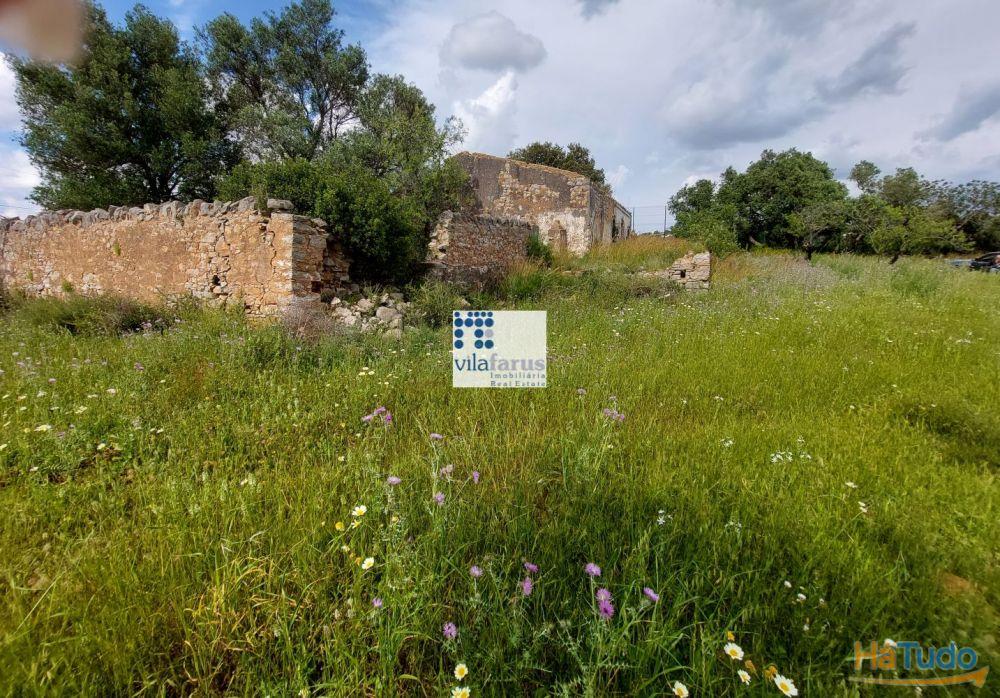 Terreno com 5.880m2 e ruína Terreno com 5.880m2 e ruína