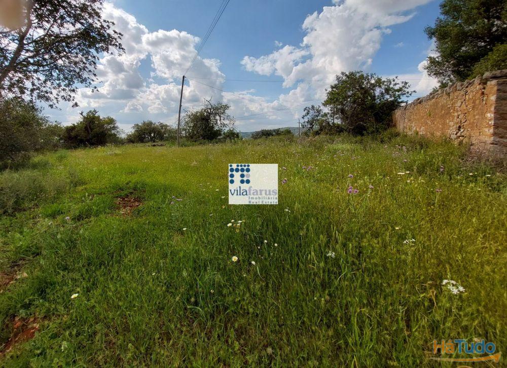 Terreno com 5.880m2 e ruína Terreno com 5.880m2 e ruína