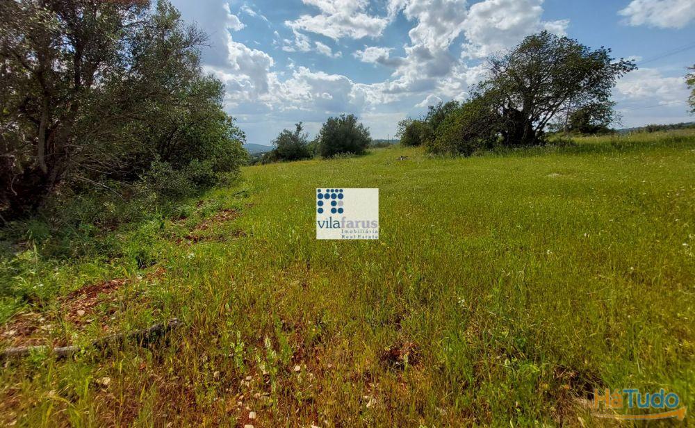 Terreno com 5.880m2 e ruína Terreno com 5.880m2 e ruína