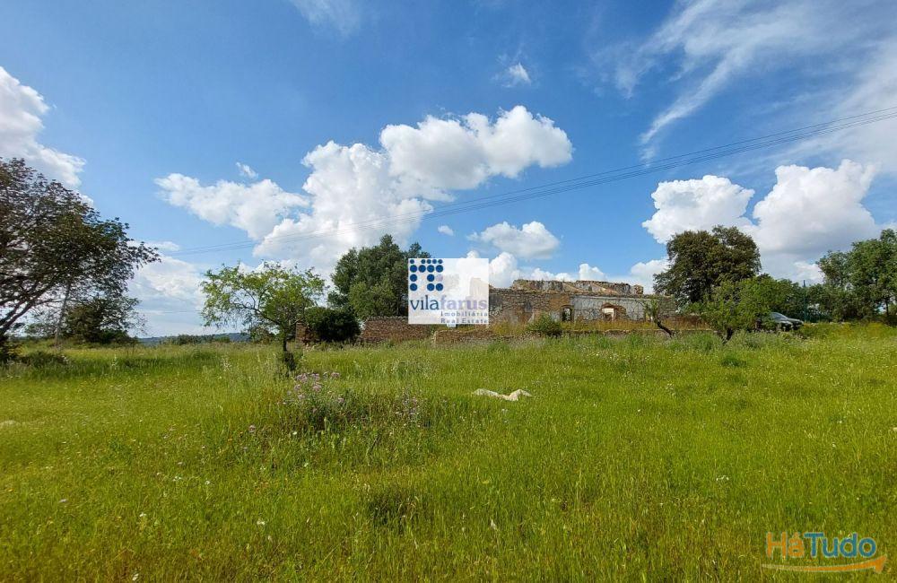 Terreno com 5.880m2 e ruína Terreno com 5.880m2 e ruína