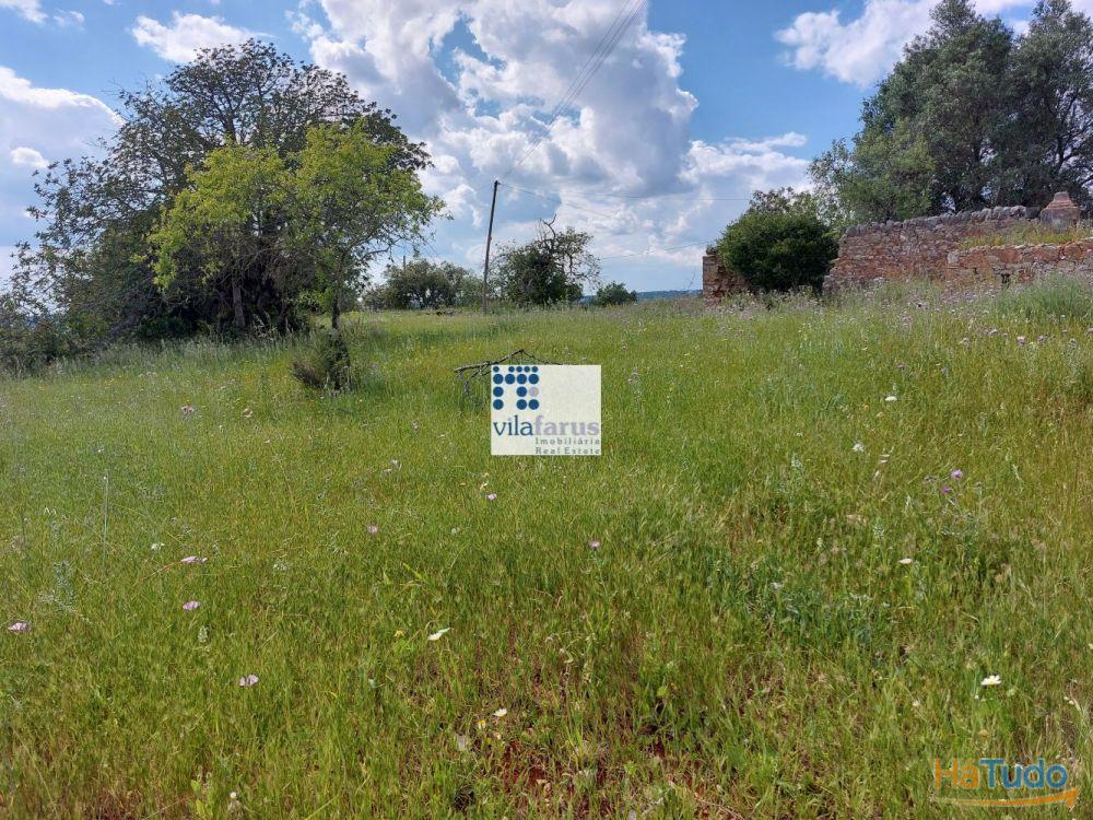 Terreno com 5.880m2 e ruína Terreno com 5.880m2 e ruína