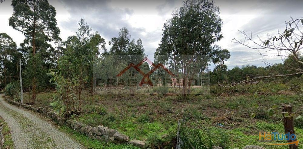 Terreno Para Construo  Venda em Vila Cova e Feitos,Barcelos