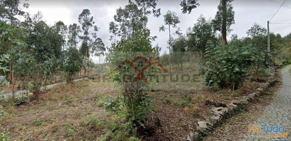 Terreno Para Construo  Venda em Vila Cova e Feitos,Barcelos