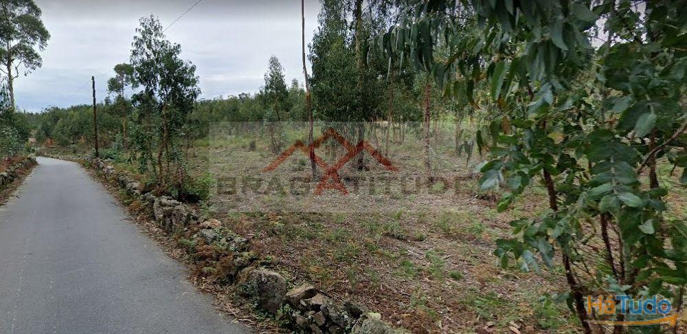 Terreno Para Construo  Venda em Vila Cova e Feitos,Barcelos