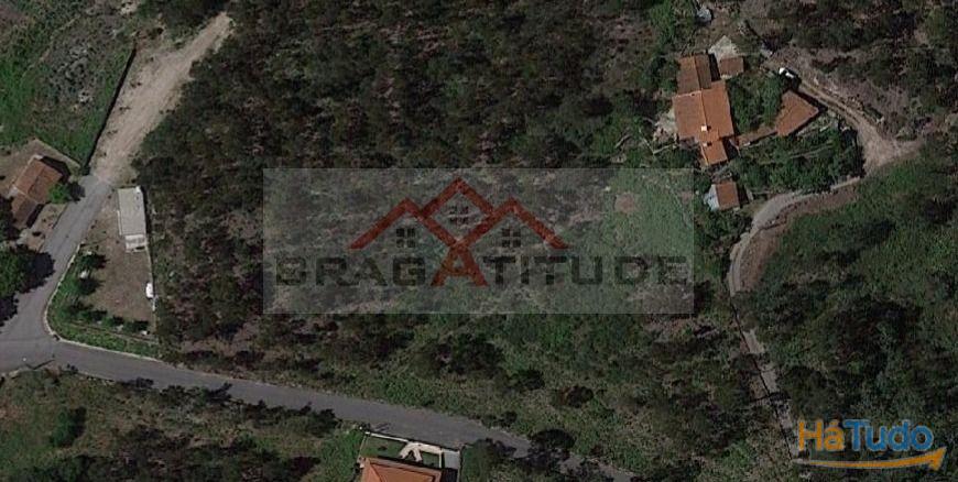 Terreno Para Construo  Venda em Vila Cova e Feitos,Barcelos