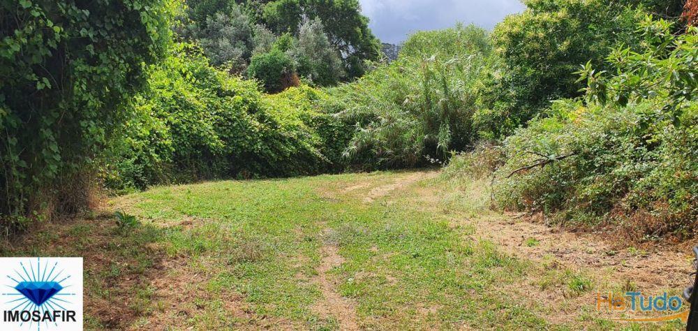 Terreno rústico e plano em Carvalhais Terreno rústico e plano em Carvalhais