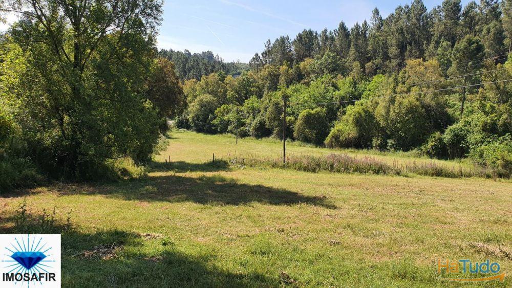 Terreno Agrícola e com uma parcela urbana Terreno Agrícola e com uma parcela urbana
