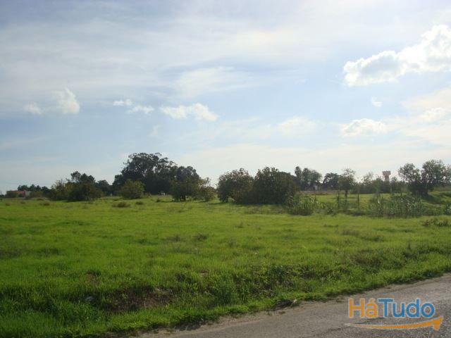 Terreno - Montijo Terreno - Montijo