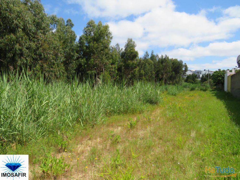 Propriedade de 5Hectares para Projeto Turístico e Residencial Propriedade de 5Hectares para Projeto Turístico e Residencial